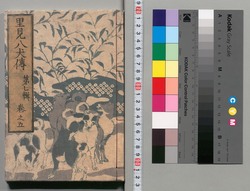 南総里見八犬伝　第七輯 巻五 / Nansō Satomi Hakkenden (Tale of Eight Dog Warriors), Vol. 7 (5) image