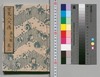 南総里見八犬伝 第九輯 巻二/Nansō Satomi Hakkenden (Tale of Eight Dog Warriors), Vol. 9 (2) image
