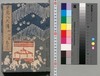 南総里見八犬伝 第九輯 巻三十六/Nansō Satomi Hakkenden (Tale of Eight Dog Warriors), Vol. 9 (36) image