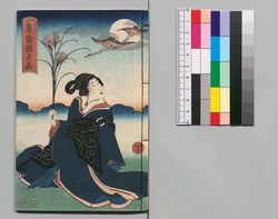 新増補西国奇談 十一編下 / Shinzōho Saikoku Kidan (Book of Literature, New and Enlarged Edition), Part 11 (2) image