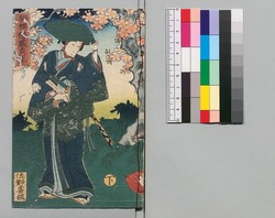 新増補西国奇談 十二編下 / Shinzōho Saikoku Kidan (Book of Literature, New and Enlarged Edition), Part 12 (2) image