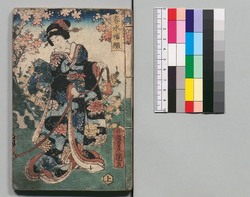 新増補西国奇談 八編 / Shinzōho Saikoku Kidan (Book of Literature, New and Enlarged Edition), Part 8 image