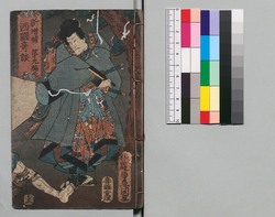 新増補西国奇談 九編 / Shinzōho Saikoku Kidan (Book of Literature, New and Enlarged Edition), Part 9 image