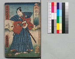 新増補西国奇談 十一編 / Shinzōho Saikoku Kidan (Book of Literature, New and Enlarged Edition), Part 11 image