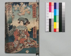 新増補西国奇談 十二編 / Shinzōho Saikoku Kidan (Book of Literature, New and Enlarged Edition), Part 12 image