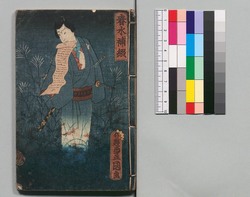 新増補西国奇談 十三編 / Shinzōho Saikoku Kidan (Book of Literature, New and Enlarged Edition), Part 13 image