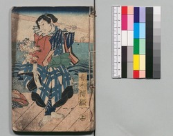 新増補西国奇談 十五編 / Shinzōho Saikoku Kidan (Book of Literature, New and Enlarged Edition), Part 15 image