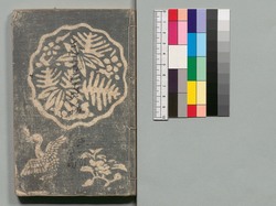 白縫譚 五・六編 / Shiranui Monogatari (The Tale of Shiranui), Part 5–6 image