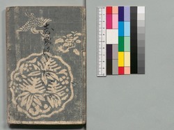 白縫譚 七・八編 / Shiranui Monogatari (The Tale of Shiranui), Part 7–8 image