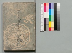 白縫譚 十一・十二編 / Shiranui Monogatari (The Tale of Shiranui), Part 11–12 image