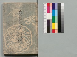 白縫譚 十五・十六編 / Shiranui Monogatari (The Tale of Shiranui), Part 15–16 image