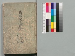 白縫譚 十九・二十編 / Shiranui Monogatari (The Tale of Shiranui), Part 19–20 image