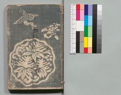 白縫譚 二十七・二十八編 / Shiranui Monogatari (The Tale of Shiranui), Part 27–28 image