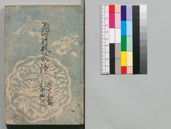 白縫譚 三十三・三十四編 / Shiranui Monogatari (The Tale of Shiranui), Part 33–34 image