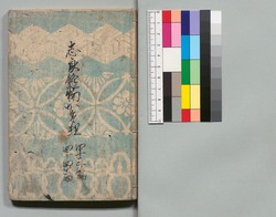 白縫譚 四十三・四十四編 / Shiranui Monogatari (The Tale of Shiranui), Part 43–44 image