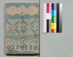 白縫譚 四十九・五十編 / Shiranui Monogatari (The Tale of Shiranui), Part 49–50 image