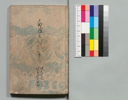 白縫譚 五十三・五十四編 / Shiranui Monogatari (The Tale of Shiranui), Part 53–54 image