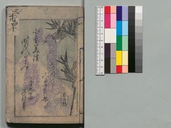 時代加々見 三十九・四十編 / Jidai Kagami (Book of Literature), Part 39–40 image