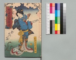 児雷也豪傑譚 十一編上 / Jiraiya Gōketsu Monogatari (The Heroic Tales of Jiraiya), Part 11 (1) image