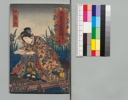 児雷也豪傑譚 十九編上 / Jiraiya Gōketsu Monogatari (The Heroic Tales of Jiraiya), Part 19 (1) image