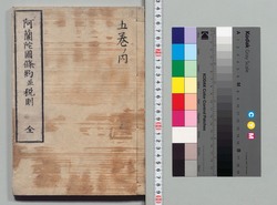 阿蘭陀国条約並税則 / The Treaty of Amity and Commerce between the Netherlands and Japan and Taxation Rules image