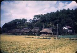 農村の典型的な家屋 / A Typical Farm Village House image