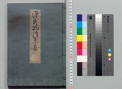 源氏物語湖月抄 附 / Genji Monogatari Kogetsushō (The Tale of Genji Moon on the Lake Commentary) Appendix image