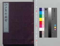 江戸名所図会 十 / Illustrated Guide to Famous Sites in Edo 10 image