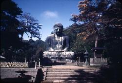鎌倉の大仏全景 / Panoramic View of Kamakura Daibutsu (Large Statue of Buddha) image