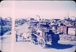 牛車と男性 / An Ox Cart and a Man image