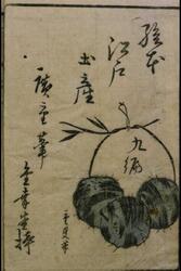 絵本江戸土産 九編 / Souvenirs of Edo, IX image
