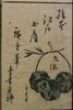 絵本江戸土産 九編/Souvenirs of Edo, IX image