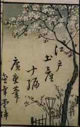 絵本江戸土産 十編 / Souvenirs of Edo, X image