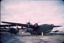 横須賀基地の日本軍飛行艇 1 / Japanese Military Seaplane at Yokosuka Base 1 image