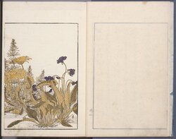 青楼美人合姿鏡 image