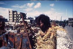焼け跡でワラで体を包んだ男性 1 / Man Wrapped in Straw at the Burnt Ruins 1 image