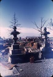 焼け跡の中の灯篭 / Lanterns in the Burnt Ruins image
