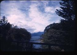 中禅寺湖から流れる小川 / Stream Flowing from Lake Chūzenji image