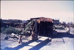 小さな丸太小屋のまわりで遊ぶ子供たち / Children Playing Around a Small Log Cabin image