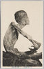 ミイラ御本体側面/Side View of the Mummy image