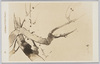川村清雄画　「梅」/Plum Blossoms : Painted by Kawamura Kiyō image
