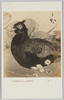 川村清雄画　「雉子」/Pheasant : Painted by Kawamura Kiyō image