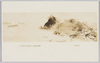 川村清雄画　「海辺」/The Seaside : Painted by Kawamura Kiyō image