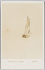 川村清雄画　「ヴェニス図」/Painting of Venice : Painted by Kawamura Kiyō image
