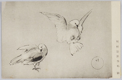 川村清雄画「鳩図」 / "Painting of Pigeons" by Kawamura Kiyō image