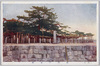 唐崎の老松/Old Pine Tree at Karasaki image