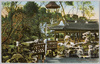 中国庭園/Chinese Garden image