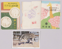 上野恩賜公園動物園ゑはがき / Picture Postcard of Ueno Park Zoological Gardens image