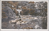 神池/Sacred Pond image