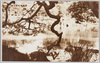 浅草伝法院の庭/Garden of Dembōin at the Sensōji Temple image